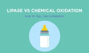 Meine Muttermilch riecht eklig:Lipase vs. chemische Oxidation 