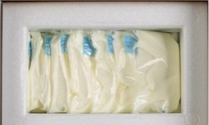 Milchstorch nimmt den Stress beim Pumpen und Reisen 