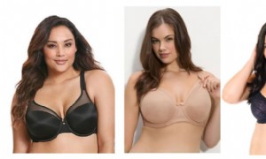 Die besten Orte, um Still-BHs in größeren Größen zu finden 