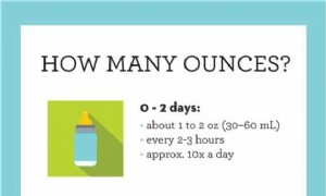 Grundlagen der Formula-Fütterung:Was Sie brauchen 