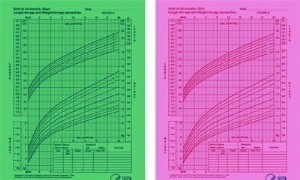 Was bedeuten Babyperzentile und Wachstumsdiagramme? 