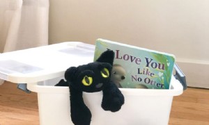 Tipps zum Jonglieren mit Kleinkind- und Neugeborenen-Routinen 