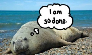 Möglichkeiten, Wehen einzuleiten (das Rizinusöl überspringen) 