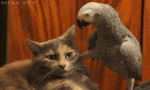 Andere Dinge, die man einer neuen Mutter nicht sagen sollte 