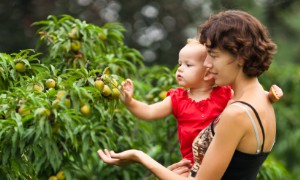 Sprachentwicklung von Babys von 9-12 Monaten 