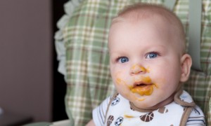 Menüvorschläge für Babys im ersten Jahr 