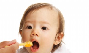 Eisenreiche Lebensmittel für Babys im ersten Lebensjahr 