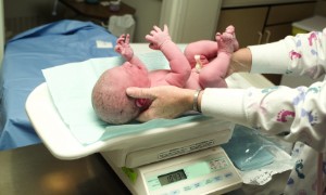 Informationen zum zweiten Arbeitsabschnitt 