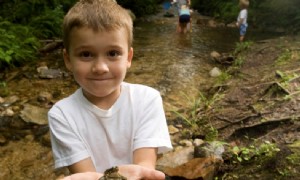 Warum Spielen wichtig ist 