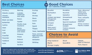 Fisch während des Stillens:Vorteile, Risiken und Möglichkeiten zur Aufnahme in die Ernährung