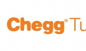 Hausaufgabenhilfe:Die Grundlagen der Online-Nachhilfe für Ihr Kind 