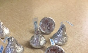 8 unterhaltsame Aktivitäten, um den Pi-Tag und Mathe zu feiern 