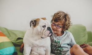 So wählen Sie das richtige Haustier für Ihre Familie aus 