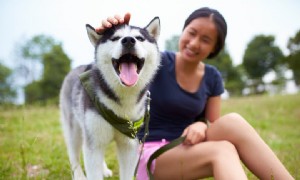 Der Leitfaden für Haustiere:Qualitätspflege und Ihr Haustierbetreuer 