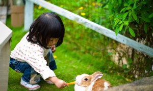 9 Jobs, die jetzt eingestellt werden und Ausflüge in den Zoo garantieren 
