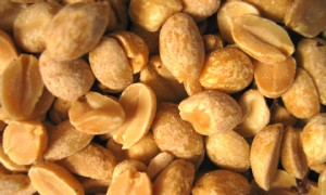 Experten:„Möchten Sie verhindern, dass Ihre Kinder Erdnussallergien bekommen? Füttere sie mit Erdnüssen. 