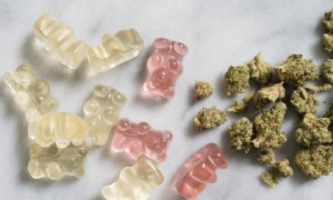 Was jede stillende Mutter über die Verwendung von Marihuana, Esswaren und CBD wissen sollte 