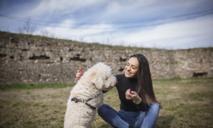 Tierpflegezertifizierungen 101 