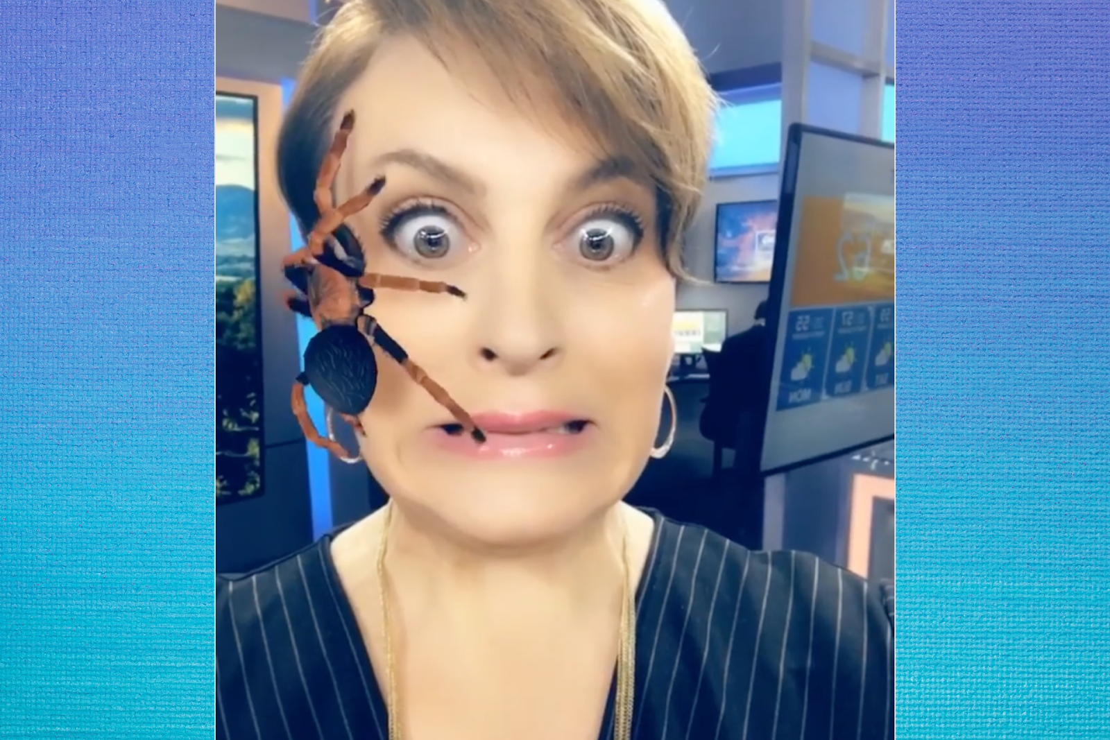 Snapchat-Spinnenstreich:Spaß für Kinder oder traumatisierend? 