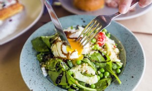 20 Lebensmittel mit Folsäure – stellen Sie sicher, dass Sie genug bekommen