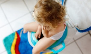 5 Töpfchen-Trainingsstrategien, die funktionieren 