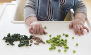 Baby-led weaning:Ein Ratgeber für neugierige Eltern 