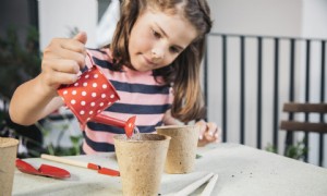 Wie man Frühlingsblumen mit Kindern pflanzt 