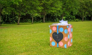 Die Gender-Reveal-Party löst ein Lauffeuer aus – und eine Gegenreaktion auf den destruktiven Trend 