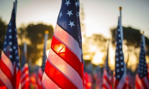 6 Aktivitäten zum Veteranentag für Kinder 