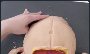 Die kreative Spielknete-Aktivität „Kaiserschnitt“ von Doktormutter bläst die Köpfe der Leute um 