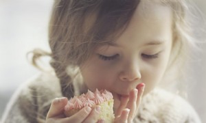 Neue Richtlinien „kein Zucker vor dem 2. Lebensjahr“ werden bereits verspottet 