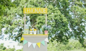 5 tolle Ideen für Limonadenstände für Kinder 