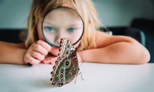 9 Tipps für glücklicheres Homeschooling, dank der Fehler eines Elternteils im ersten Jahr 