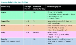 Portionsgrößen für Kleinkinder 