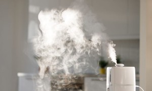 Sollten Sie einen Luftbefeuchter in Ihrem Babyzimmer haben? 