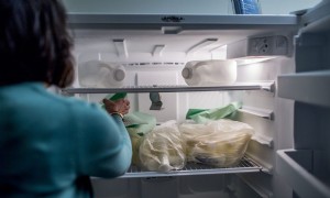 Spendermilch:Geschichte, Bezugsquellen und Sicherheitsüberlegungen 