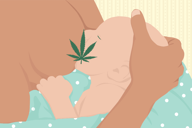 CBD und Stillen:Ist es sicher?