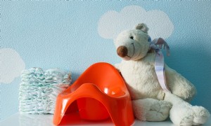 Die wesentlichen Artikel für das Töpfchentraining 