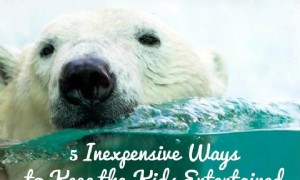 5 kostengünstige Möglichkeiten, die Kinder diesen Sommer zu unterhalten