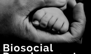 Biosoziale Entwicklung in den ersten zwei Jahren 