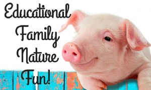 Pädagogischer Familien-Natur-Spaß