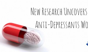 Neue Forschung deckt auf, wie Antidepressiva wirken 