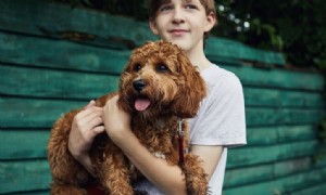 Wie alt sollte man zum Hundesitten sein? Experten greifen ein