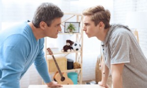 Pattersons Zwangstheorie und Zwangszyklus 