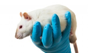 Wie man einen Teenager diszipliniert, dem die Konsequenzen egal sind 